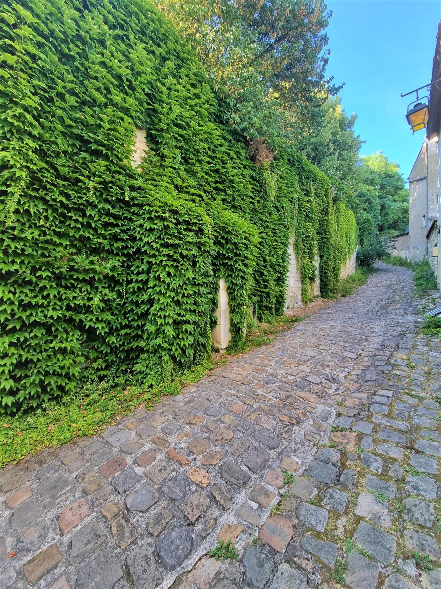 Apartmán Le Jeanne D'Arc Chinon Exteriér fotografie